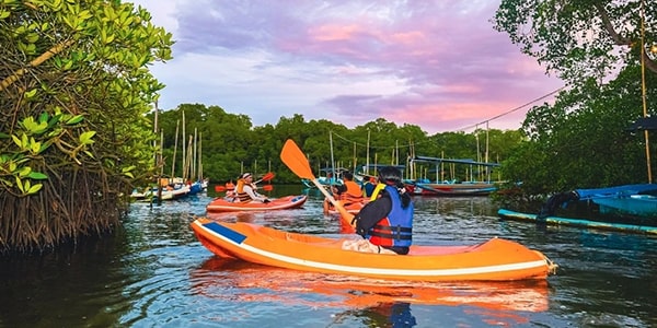 Paket perorangan Untuk pengunjung yang lebih menyukai tantangan, paket ini menawarkan pengalaman lebih intensif seperti trekking mangrove yang lebih panjang & boat tour ke tempat tersembunyi.